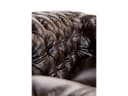 none Bild 5