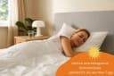 sleepling Daunenbettdecke Komfort 90% Daunen 10% Federn Baumwolle Bild 3
