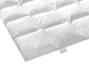 Bodyprotect Daunenbettdecke Kassettendecke 60% Daunen 100% Baumwolle Bild 3