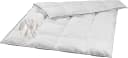 sleepling Daunenbettdecke 90% Daunen 10% Federn Baumwollbezug Bild 2