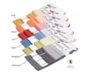 liebling Geschirrtuch 4er Pack Anthrazit 100% Baumwolle Bild 4