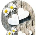 matches21 HOME & HOBBY Platzset Abwaschbare Tischsets 4er Set Gänseblümchen Blumen rund Bild 2