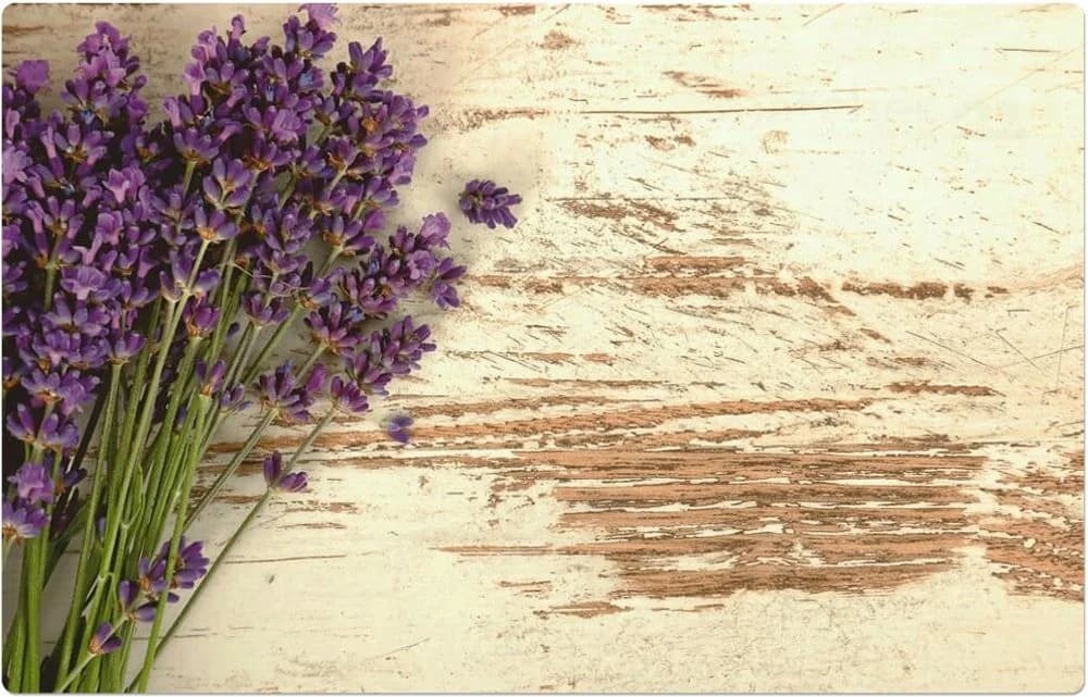 matches21 HOME & HOBBY Platzset Abwaschbare Tischsets 4er Set Vintage Lavendel Blumen