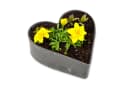 matches21 HOME & HOBBY Pflanzschale Herz Schwarz Marmor Bild 2