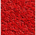 matches21 HOME & HOBBY Fußmatte Rot 60x80 cm Schmutzfangmatte Bild 3