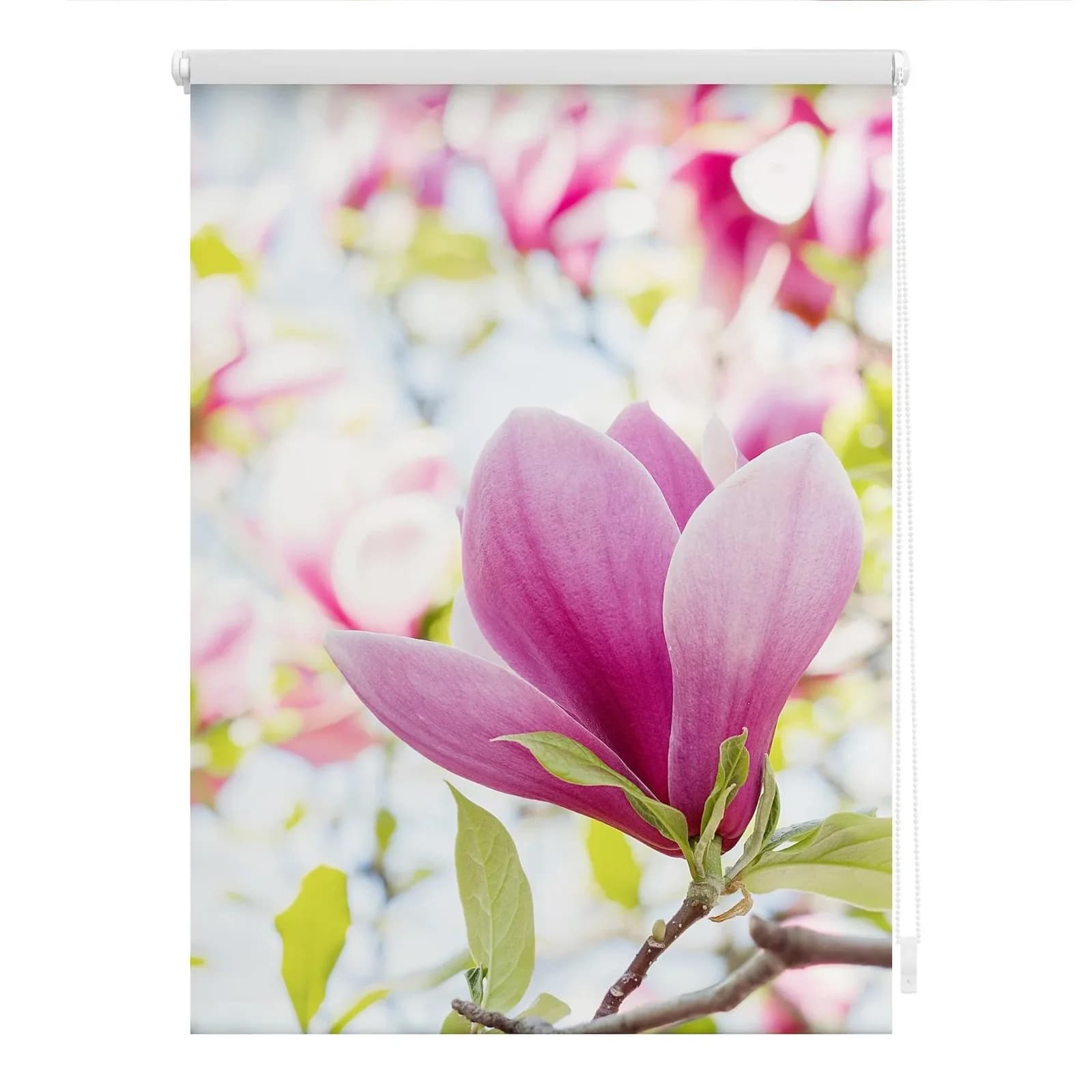 LICHTBLICK Seitenzugrollo Magnolie Rosa Verdunkelung Klemmfix