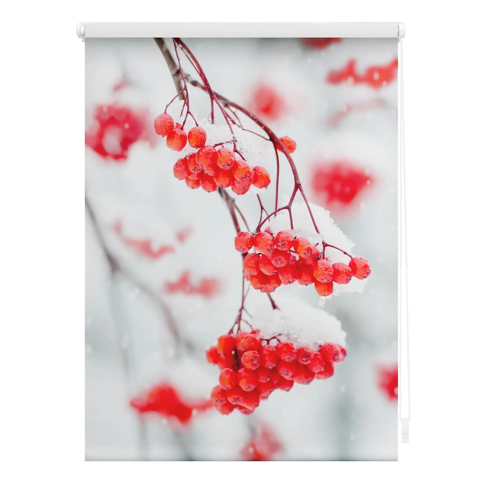 LICHTBLICK Seitenzugrollo Klemmfix Rot Weiß Vogelbeeren 100% Verdunkelung