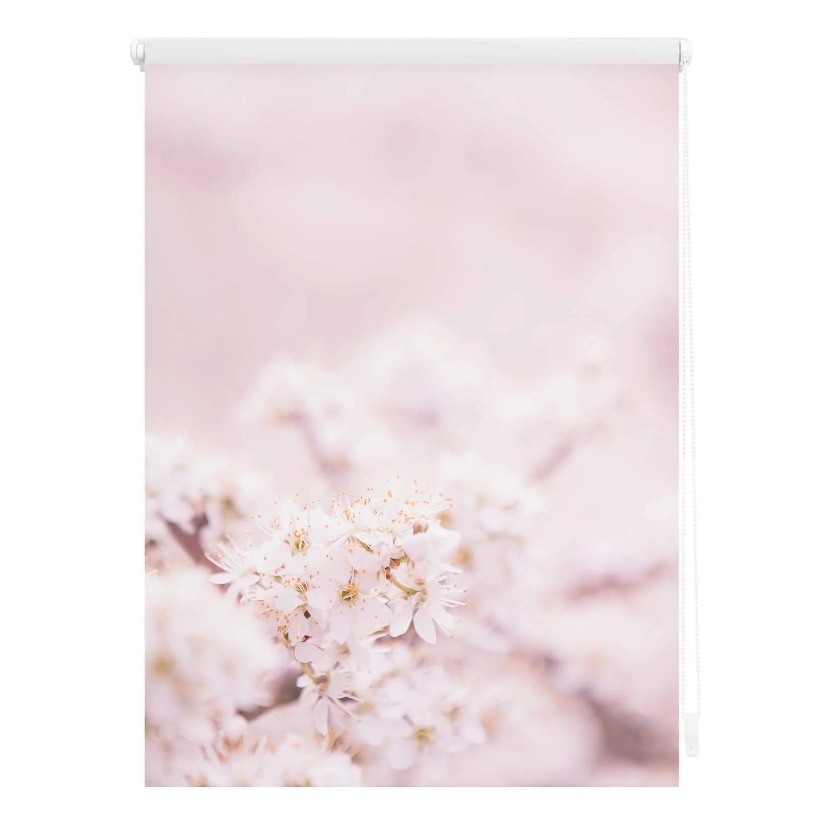 LICHTBLICK Seitenzugrollo Kirschblüten Rosa Weiß Klemmfix Verdunkelung
