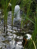 Jürgen Bocker - Gartenambiente Reiherschreck Edelstahl Schwimmkugel Teichdeko Bild 1