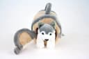 Teddys Rothenburg Kuscheltier Hund Husky in Hütte 15 cm Plüschhusky Bild 1
