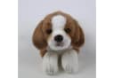 Teddys Rothenburg Beagle Kuscheltier 28 cm Plüschhund Schwarz Weiß Braun Bild 1