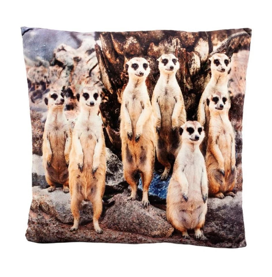 Teddys Rothenburg Kuscheltier Plüschkissen Erdmännchen 35 x 35 cm