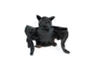Teddys Rothenburg Kuscheltier Fledermaus mit Band 36 cm Schwarz Plüsch Bild 1