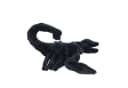 Teddys Rothenburg Kuscheltier Skorpion 26 cm Plüschskorpion Stofftier Bild 3