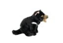 Teddys Rothenburg Kuscheltier Tasmanischer Teufel 25 cm Plüschtier Bild 5