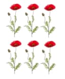 Emerald Kunstblume Mohn Rot 6er Set Bild 2