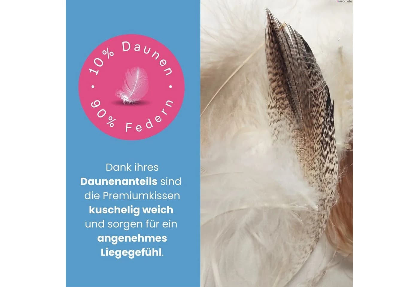 wometo Federkissen Premium Daune 80x80 cm Weiß Baumwolle - Bild 3