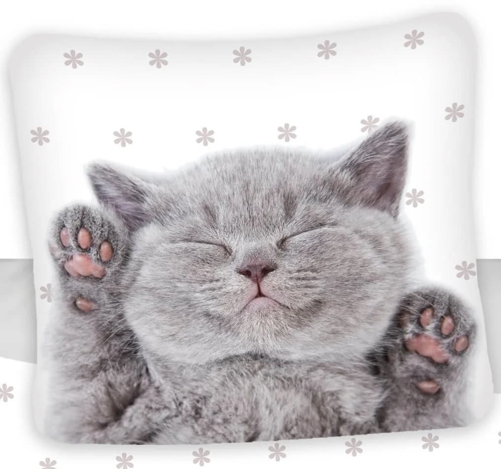 Jerry Fabrics Bettwäsche Kätzchen Katze Wende-Bettwäsche-Set 135x200 & 80x80 Baumwolle 100% Baumwolle