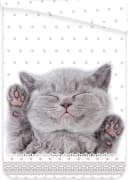 Jerry Fabrics Bettwäsche Kätzchen Katze Wende-Bettwäsche-Set 135x200 & 80x80 Baumwolle 100% Baumwolle Bild 3