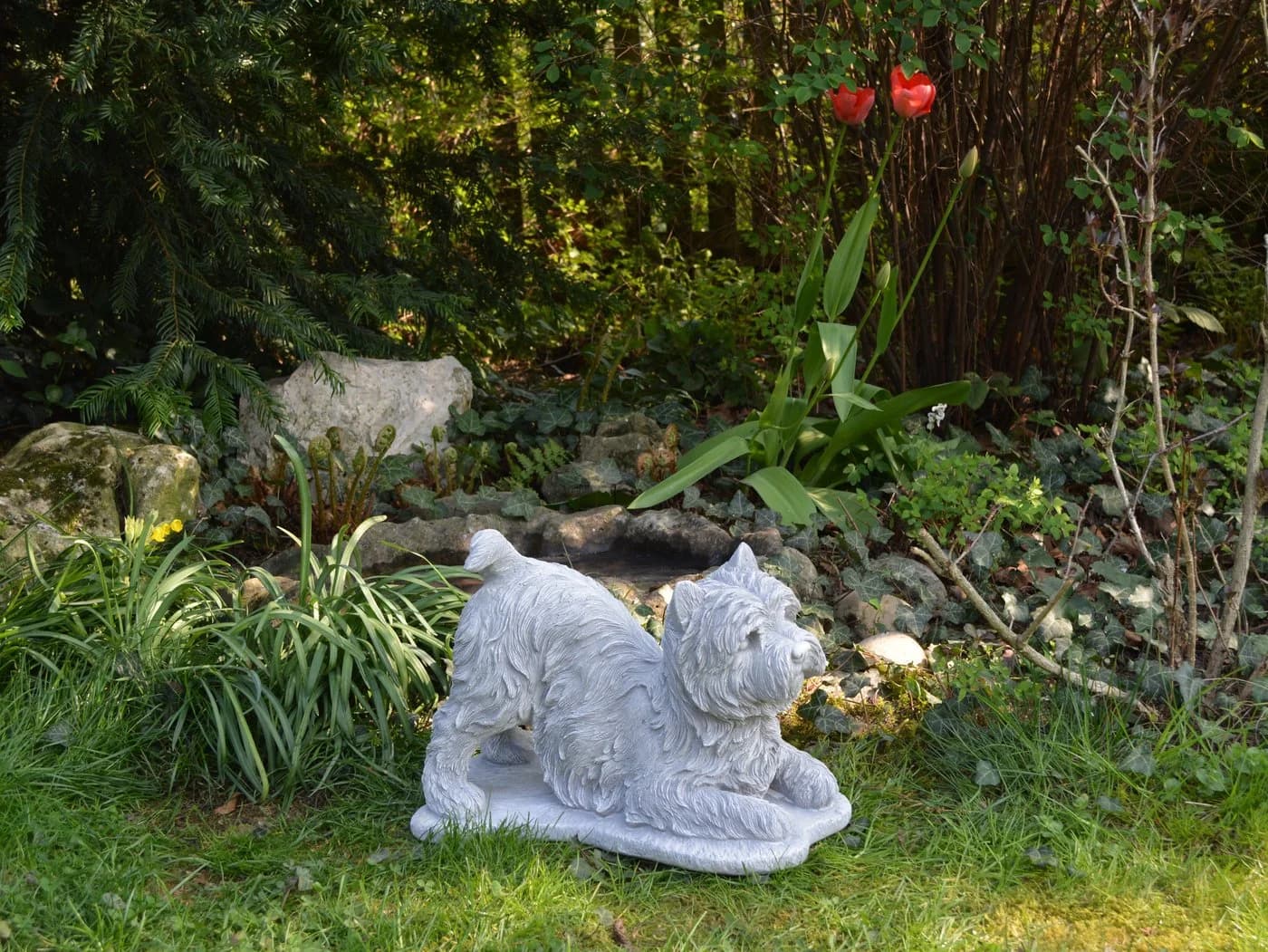 gartendekoparadies.de Westie Gartenfigur Frostsicher Grau - Bild 4