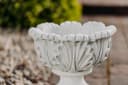 gartendekoparadies.de Pflanzkübel Eichenblatt-Design 6 Liter Bild 5