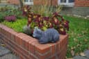 gartendekoparadies.de Gartenfigur Liegende Katze Steinfigur Bild 5