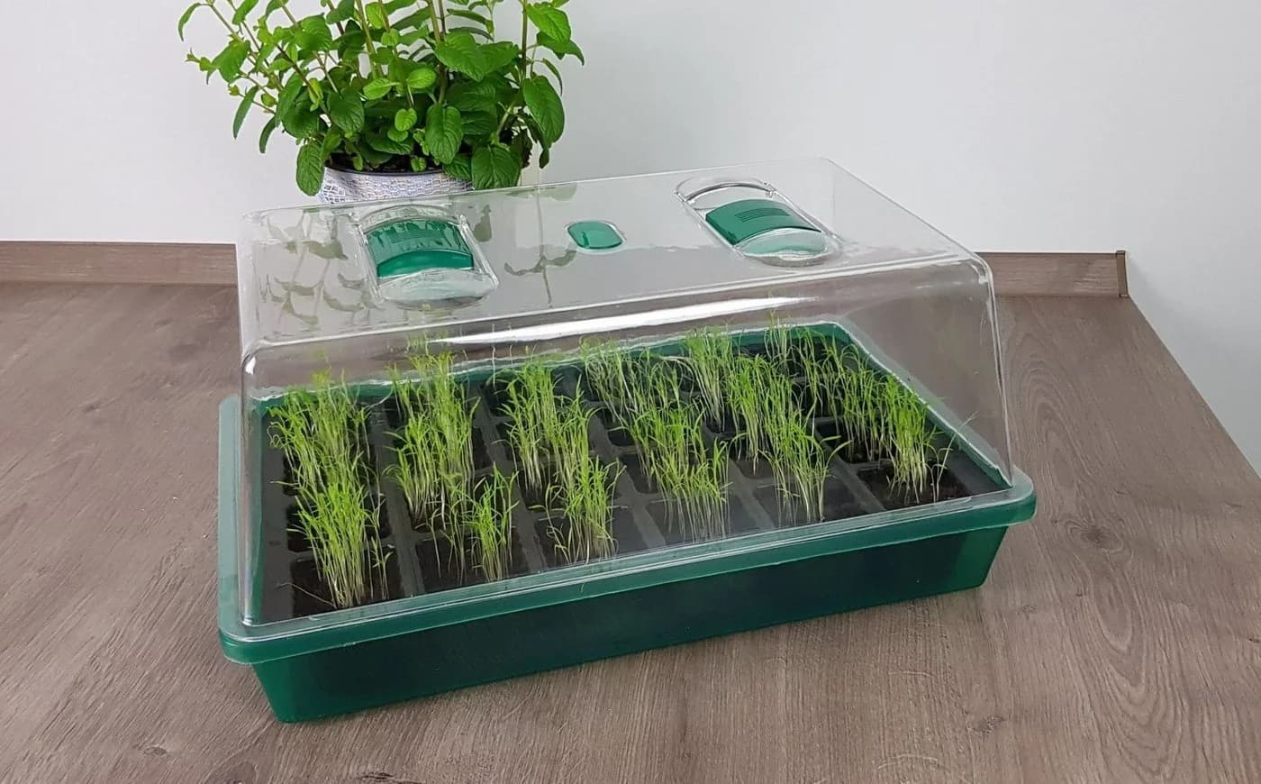 GartenHero Mini Gewächshaus 24 Fächer Kunststoff - Bild 2