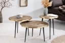 riess-ambiente Beistelltisch ORGANIC Baumstamm-Design Bild 1