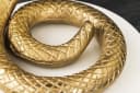 riess-ambiente Beistelltisch WILDLIFE COBRA Gold Weiß Marmor Bild 5