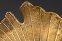 riess-ambiente Dekoschale WILDLIFE PEACOCK 40cm Gold Pfauen-Design Bild 5