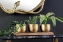 riess-ambiente Dekoschale ORIENT 45cm gold 3er-Set mit Massivholz-Tablett Bild 3