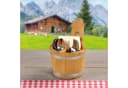 Kesper Besteckbox 8-tlg. Kiefernholz 3-fach Einteilung Natur Bild 5