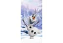 BERONAGE Frozen Strandtuch 75x150 cm Baumwolle Frottee Bild 2