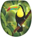 Sanilo WC-Sitz Toucan mit Absenkautomatik, hochwertig & modern, universell, leichte Montage Bild 2
