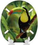 Sanilo WC-Sitz Toucan mit Absenkautomatik, hochwertig & modern, universell, leichte Montage Bild 5