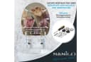 Sanilo WC-Sitz Tulpen mit Absenkautomatik & Quick Release Bild 5
