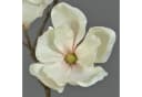 Kunstzweig Künstlicher Magnolien Zweig MALBINE Weiß-Rosa 50cm artplants Bild 1