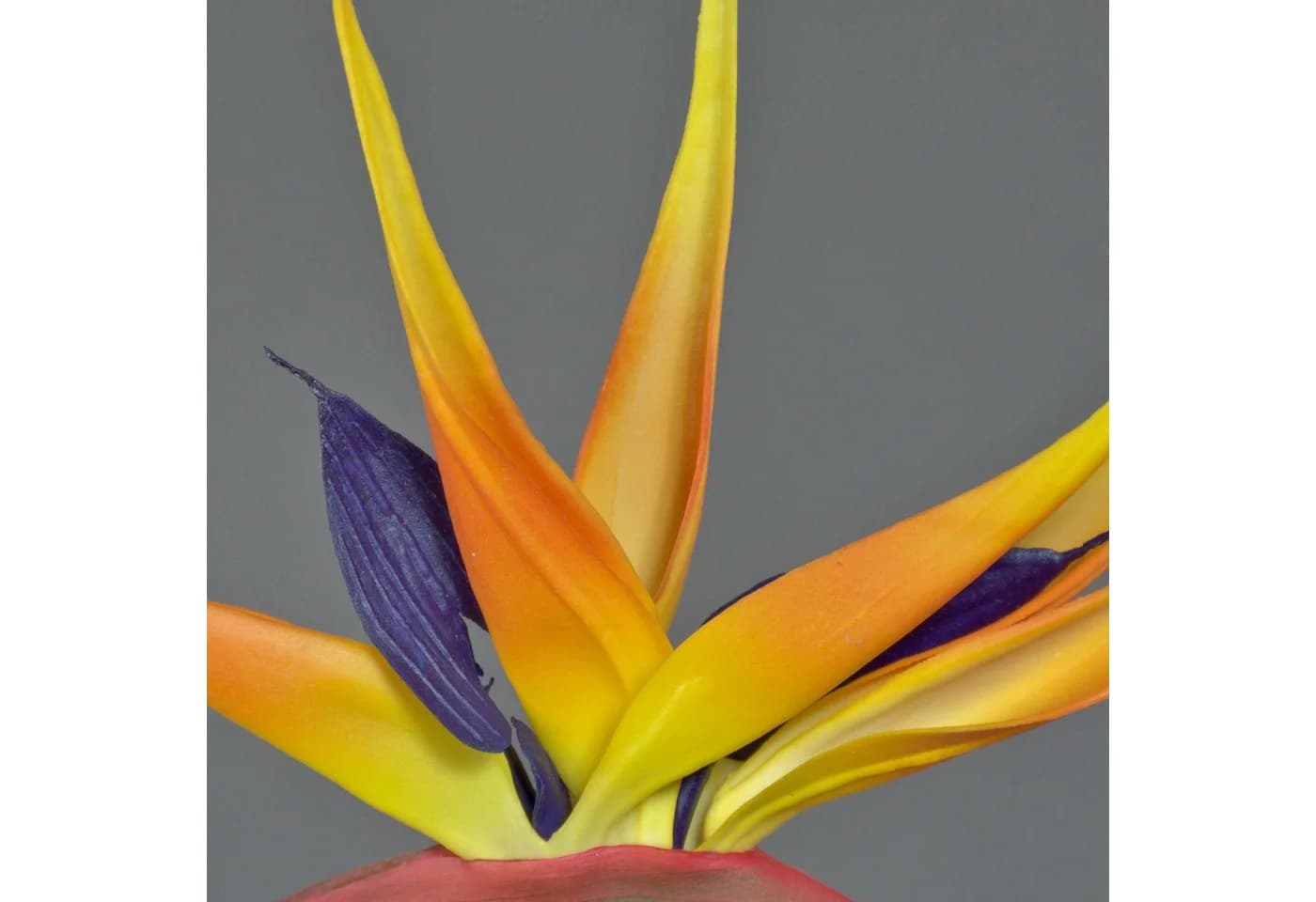 artplants Künstliche Papageienblume LATIFA Orange-Violett 90 cm