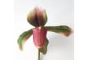 artplants Kunstorchidee Paphiopedilum VELANA Violett 40 cm Bild 1