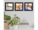 PHOTOLINI Bilderrahmen 3er Set Schwarz MDF Acrylglas 10x10 cm Bild 1