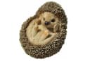 dazikemo Gartenfigur Igel Kunststein Handbemalt Bild 5