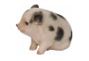 dazikemo Gartenfigur Schwein Dekofigur Kunststein Bild 5