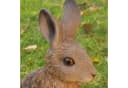 dazikemo Gartenfigur Hase Kunststein Dekofigur Bild 5