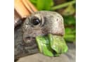 dazikemo Gartenfigur Schildkröte Kunststein Bild 1