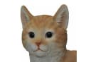 dazikemo Gartenfigur Katze mit Katzenbaby Brauner Kunststein Bild 4