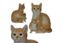 dazikemo Gartenfigur Katze mit Katzenbaby Brauner Kunststein Bild 5