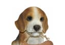 dazikemo Gartenfigur Hund Beagle Willkommen Kunststein Bild 3