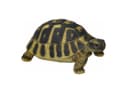 none Bild 3