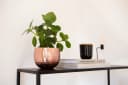 LaLe Living Blumentopf Baha gehämmert Kupfer Gold Ø13,5 cm Bild 1