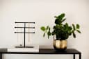 none Bild 3
